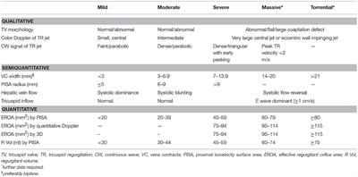 The Conundrum of Tricuspid Regurgitation Grading